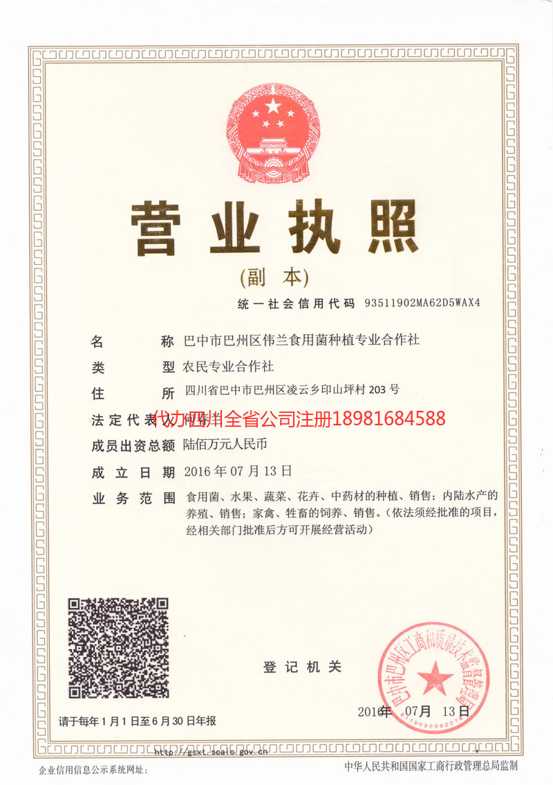 双鸭山双鸭山伟兰食用菌种植专业合作社